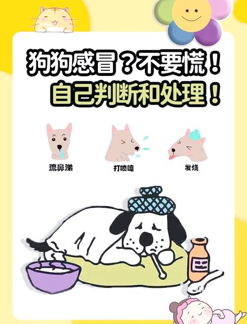 狗狗发烧感冒了怎么办