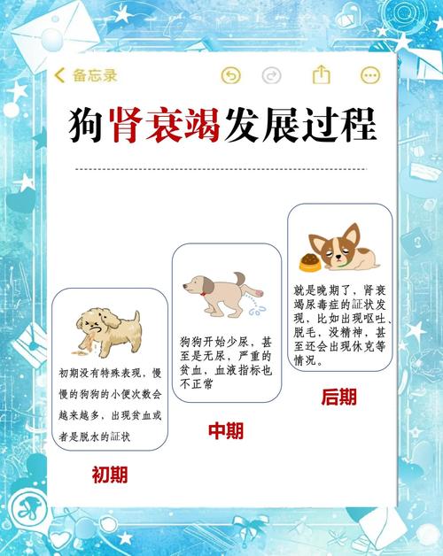 小狗吃冰糖好吗?