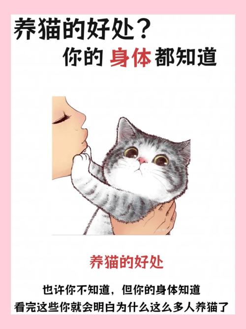 养猫咪需要经常把猫咪放出去吗