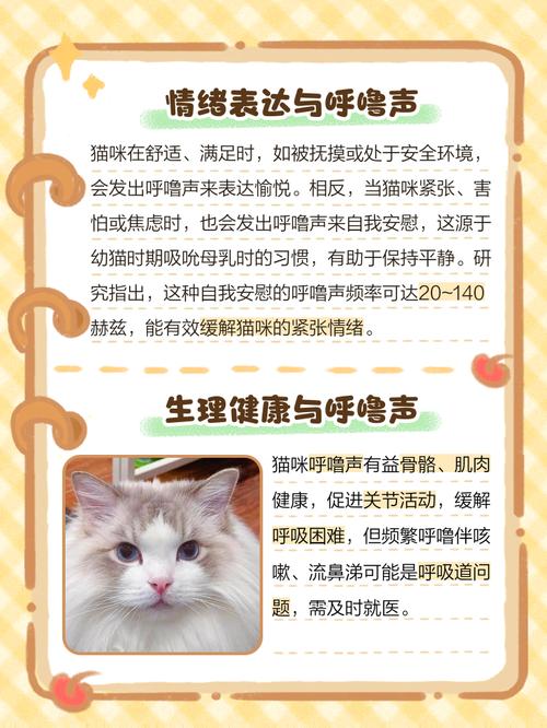 主人一靠近猫就呼噜是怎么回事?