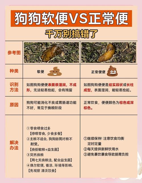 狗胃肠炎拉软便怎么办