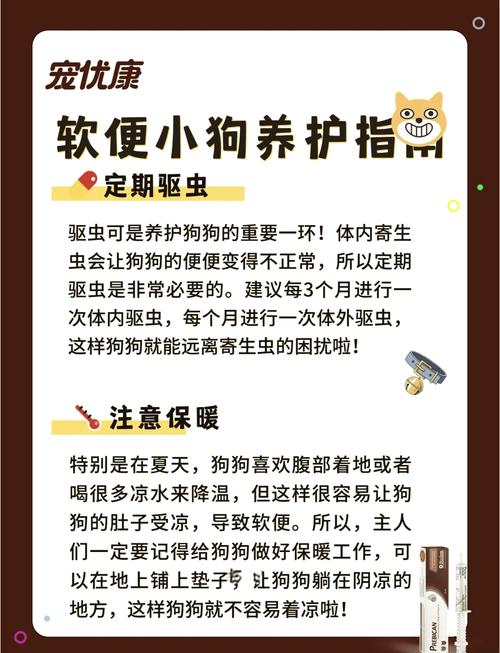 狗狗软便时候该怎么办?