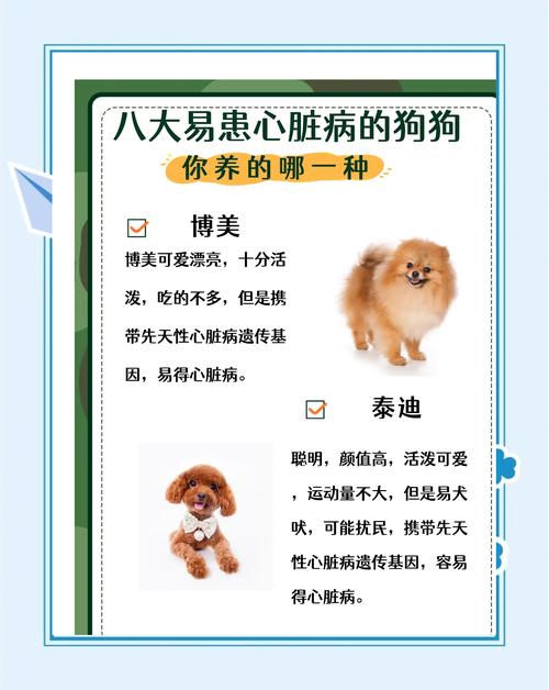 狗狗心律失常处理