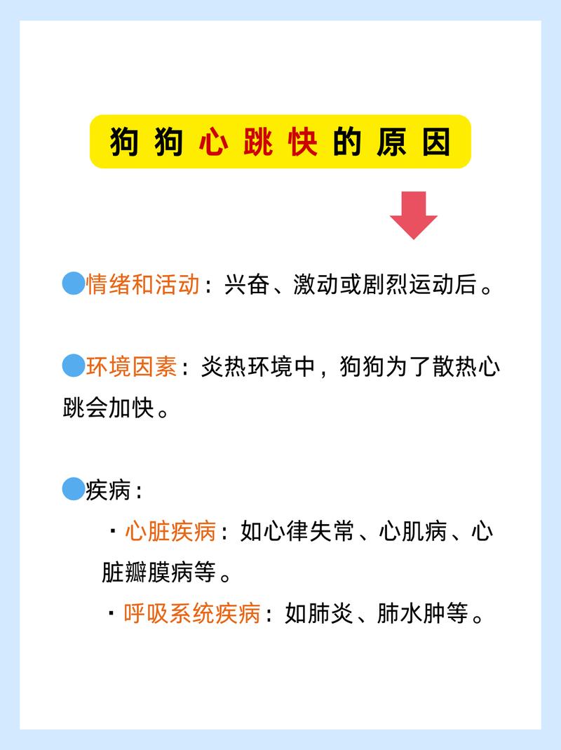 狗狗的正常心率和呼吸是多少