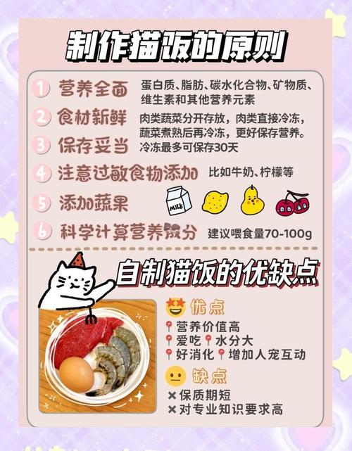 猫月子餐要吃什么