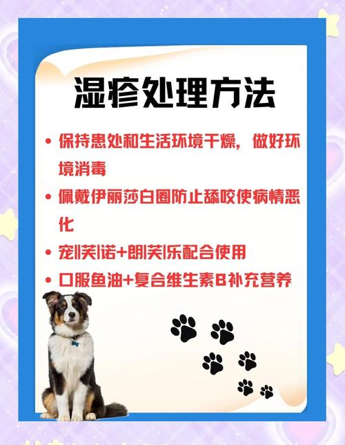 狗狗湿疹怎么治