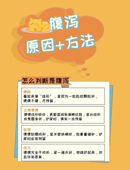 如何按照七日换粮法喂养猫咪?