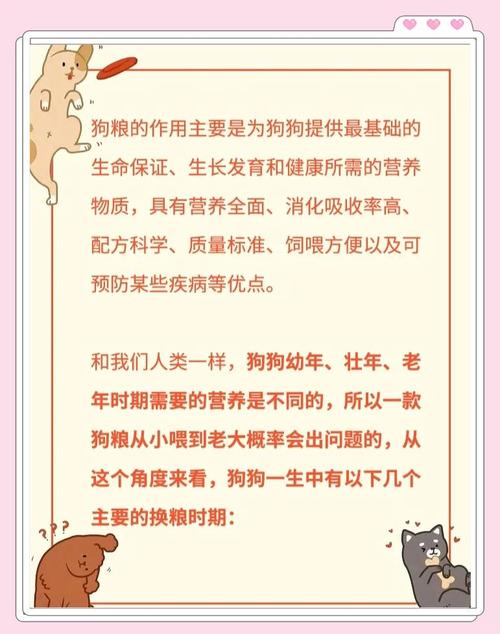 经常换狗粮对狗狗好吗