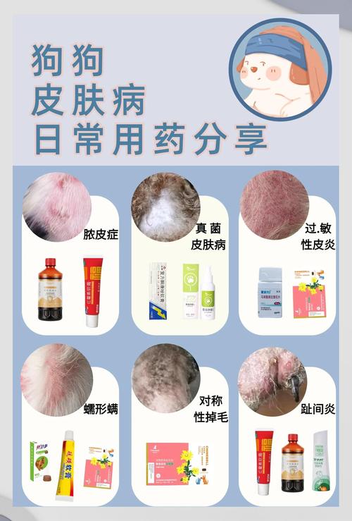 狗狗被蚊子咬了怎么办