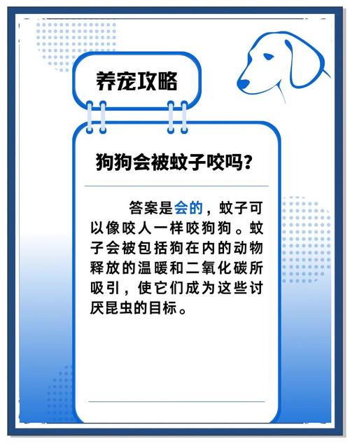 狗狗被蚊虫叮咬后可以抹什么药膏