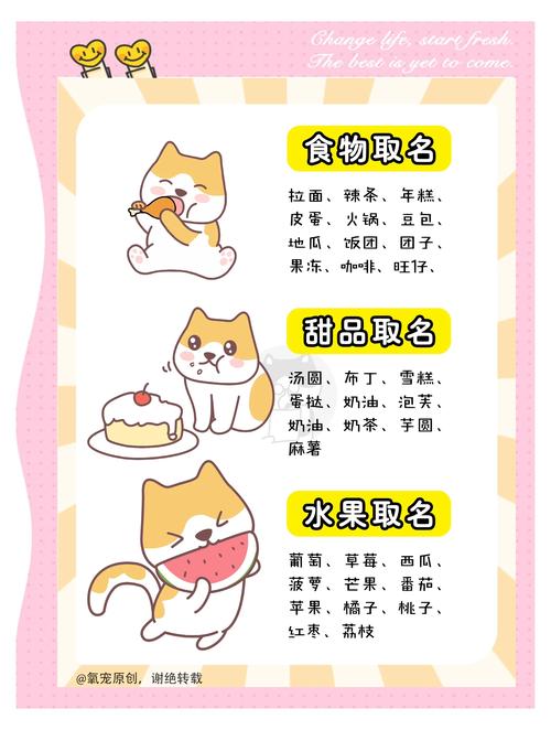 猫咪取什么名字比较好?