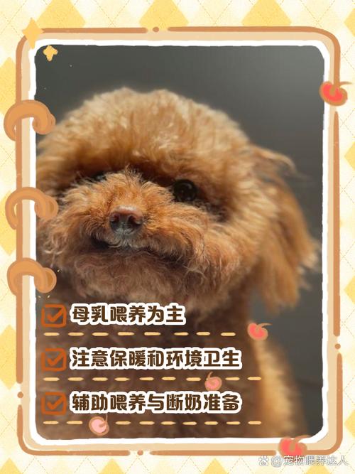 一个月大的小狗怎么喂养