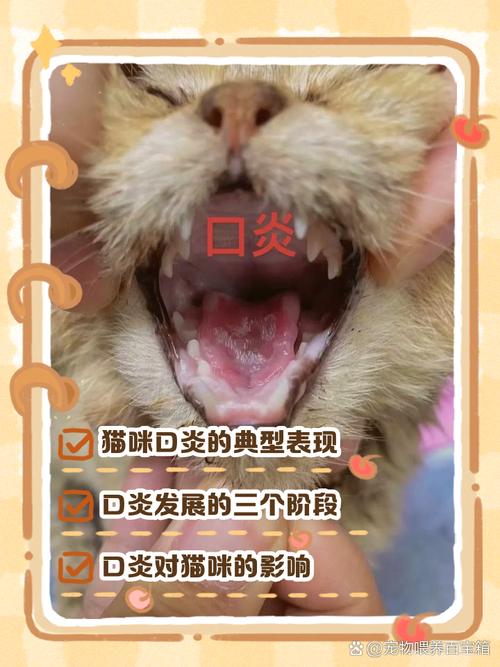 猫咪口炎最初的症状