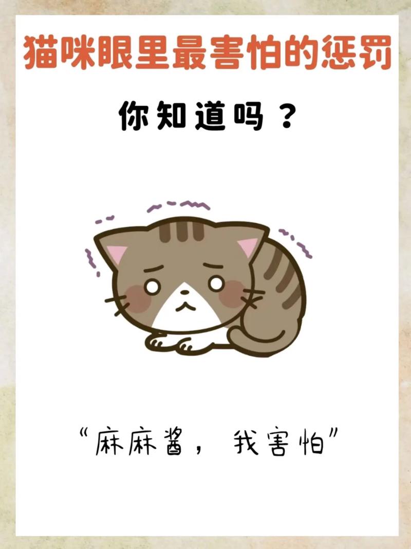 怎么教训猫不听话