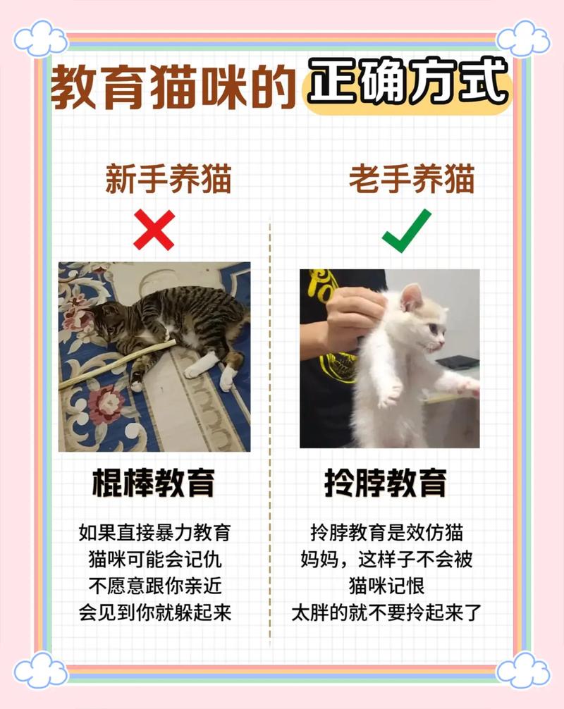 猫咪不听话能不能打