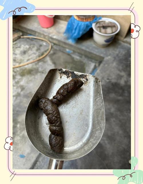 狗狗便便多是否狗粮不好(狗粮吃了大便多好还是少好)