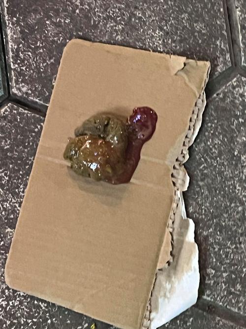 狗狗大便超多(狗狗便便多)