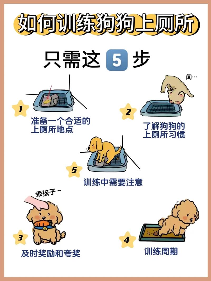如何教狗狗定时定点上厕所呢
