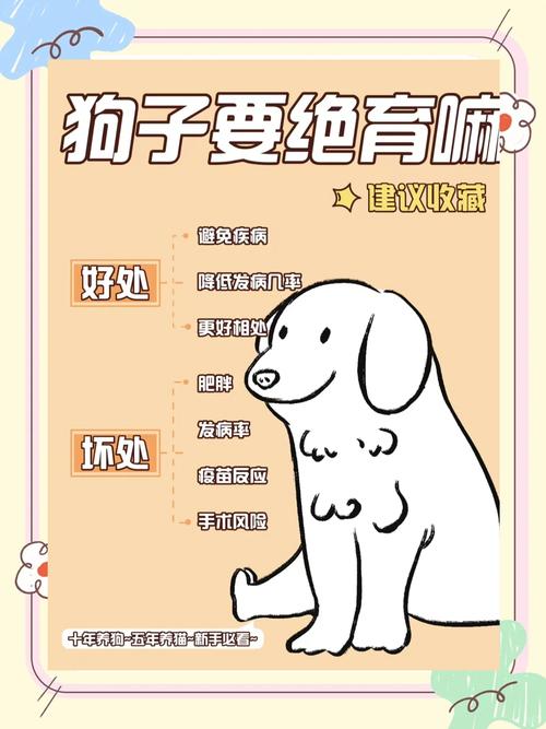 狗狗如何绝育