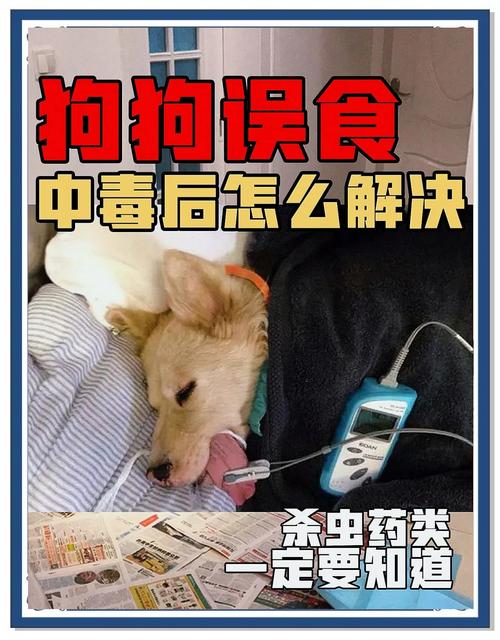 狗狗吃驱虫药过量表现