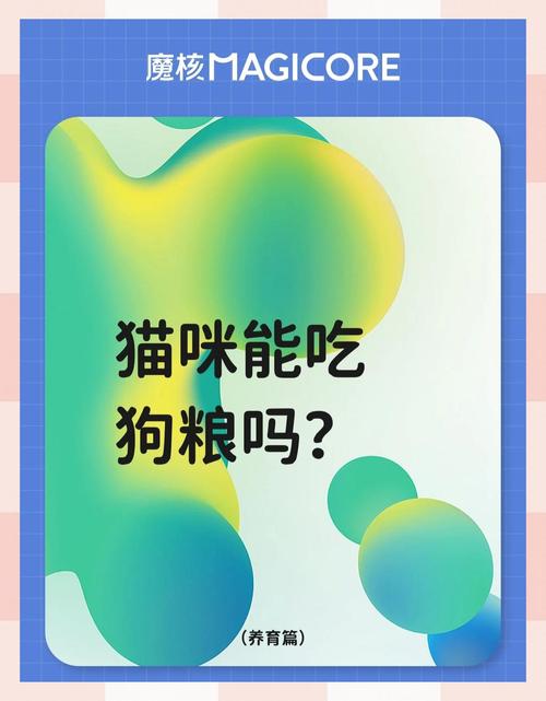 猫吃狗粮会不会有事