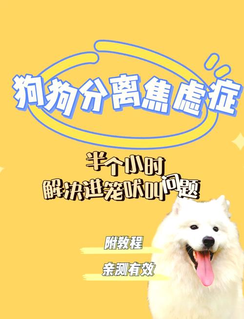 狗狗不进笼子怎么办