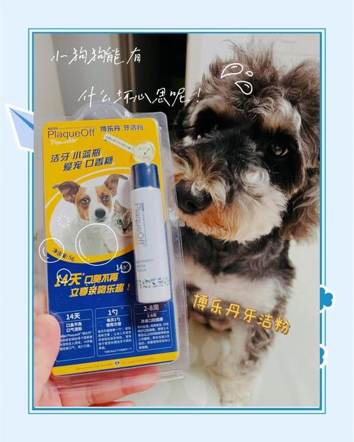 狗狗口臭很严重吃什么药?