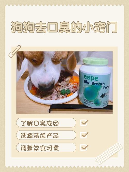 狗狗吃什么除口臭