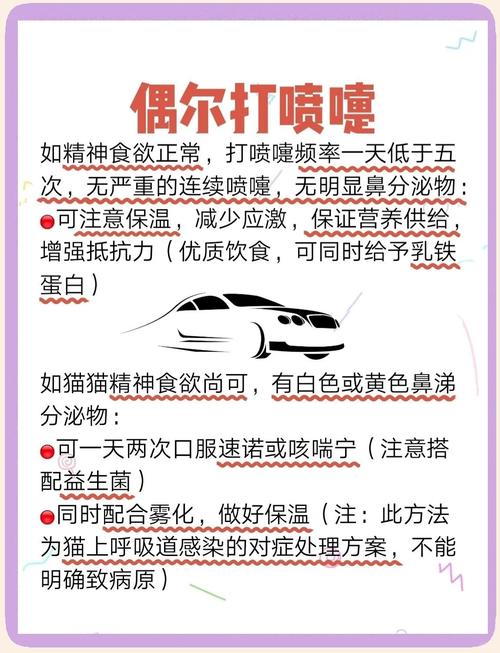 猫生病了就要躲在角落怎么办