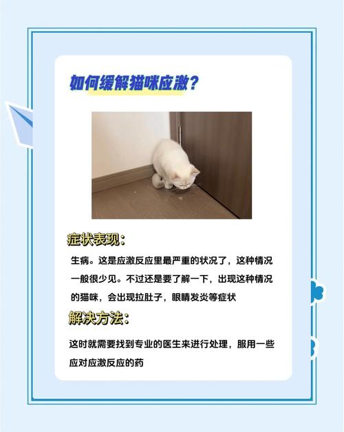 猫咪生病奄奄一息要怎么救治?