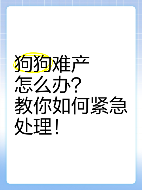 小狗怎么样顺产?