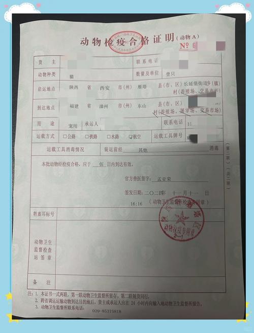 猫能带上飞机客舱吗