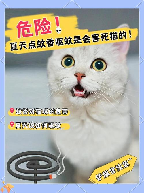 养猫能用电蚊香液吗