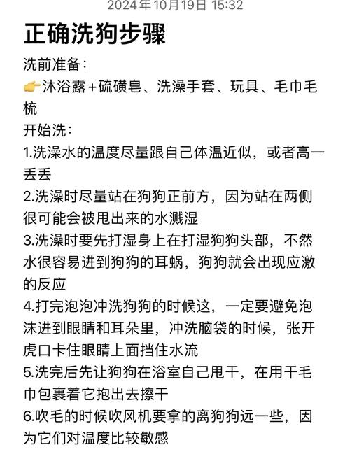 没有狗狗沐浴露怎么给狗狗洗澡呢?