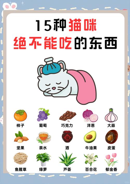 猫能不能吃甜的