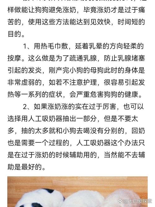 狗狗回奶的最佳方法