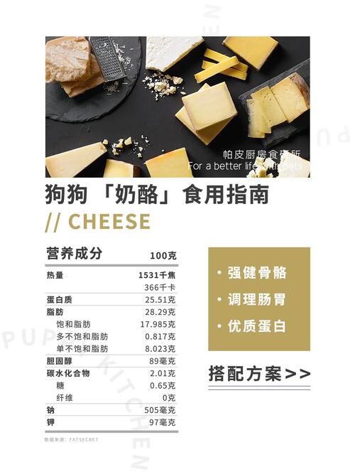 小狗吃什么食物比较好除了狗粮