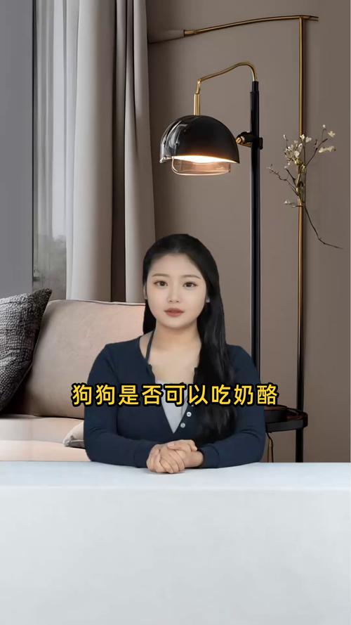 狗能不能吃奶酪