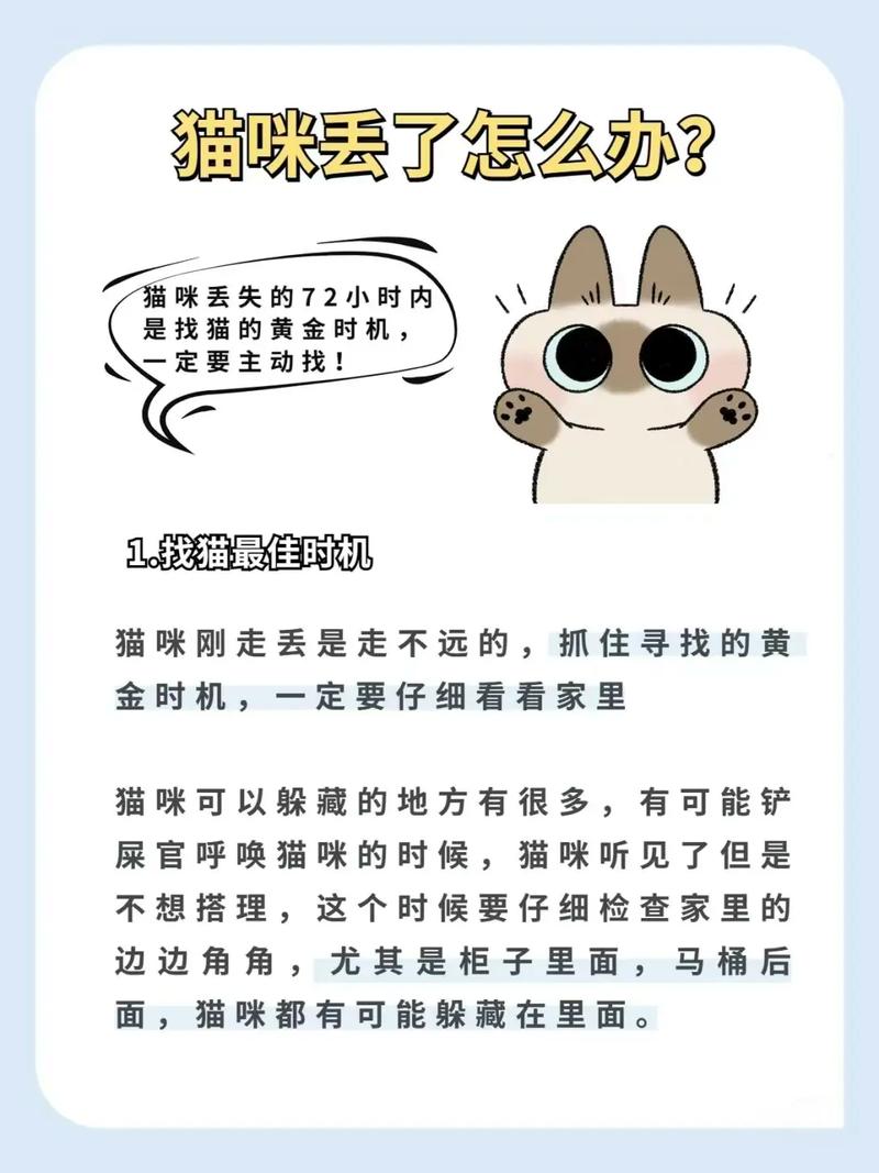 猫咪走丢了怎么办?