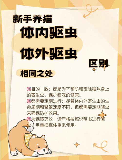 猫咪不会吃驱虫药应该怎么办呢?