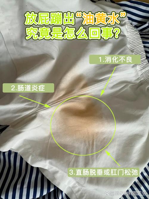 狗狗拉稀黄放屁很臭怎么回事?