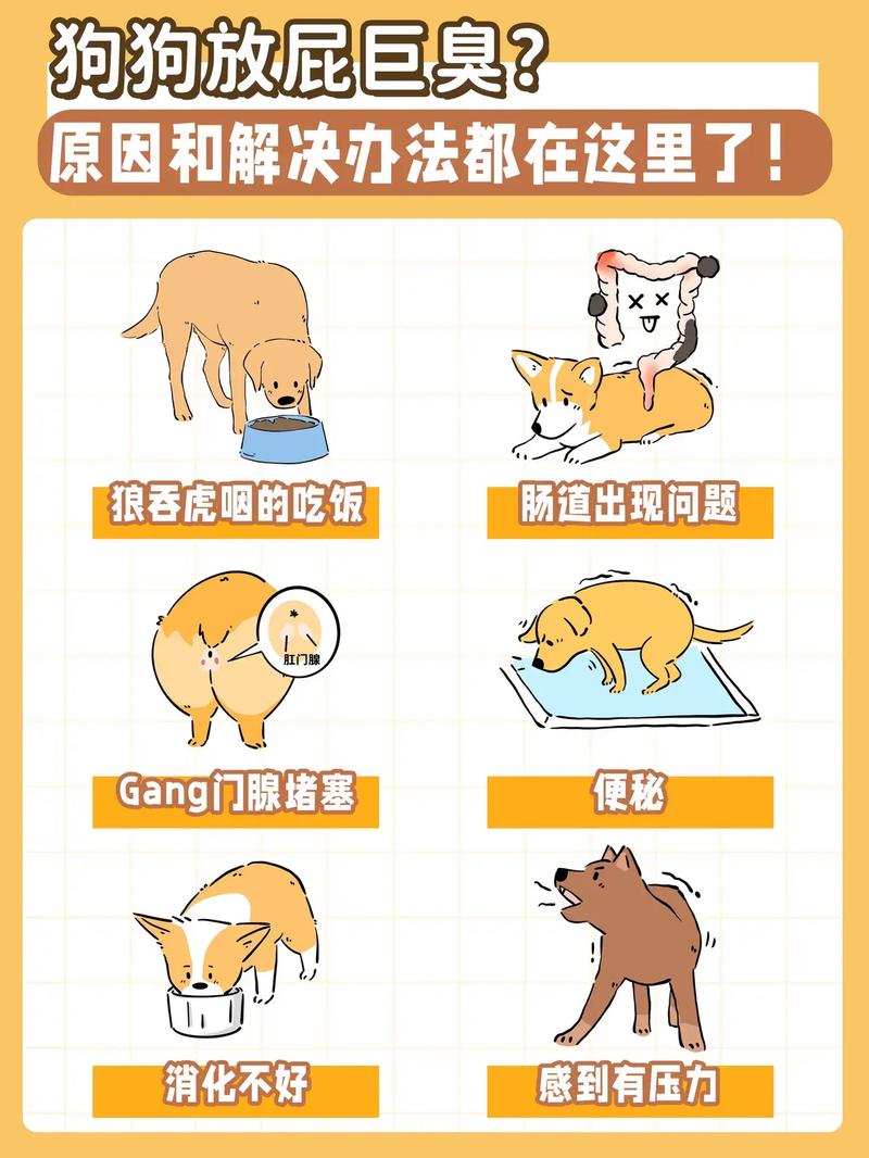 狗狗为什么老是放屁拉稀