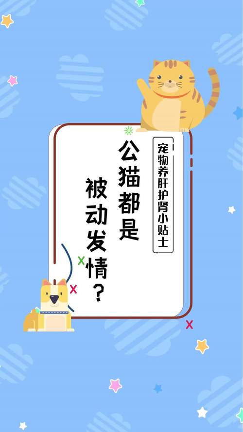 如何让公猫不发情?