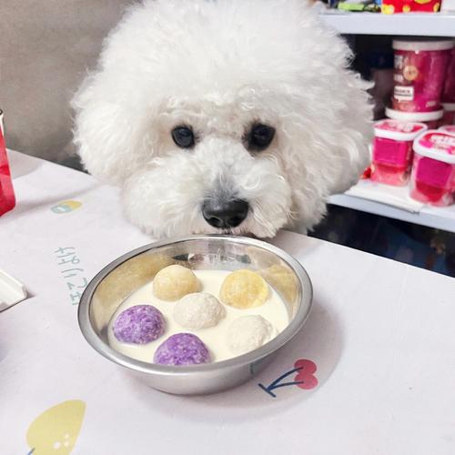 狗狗们能吃汤圆吗