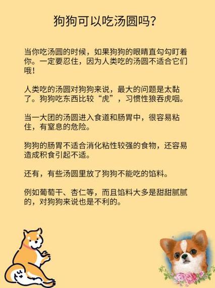 汤圆狗狗可以吃吗