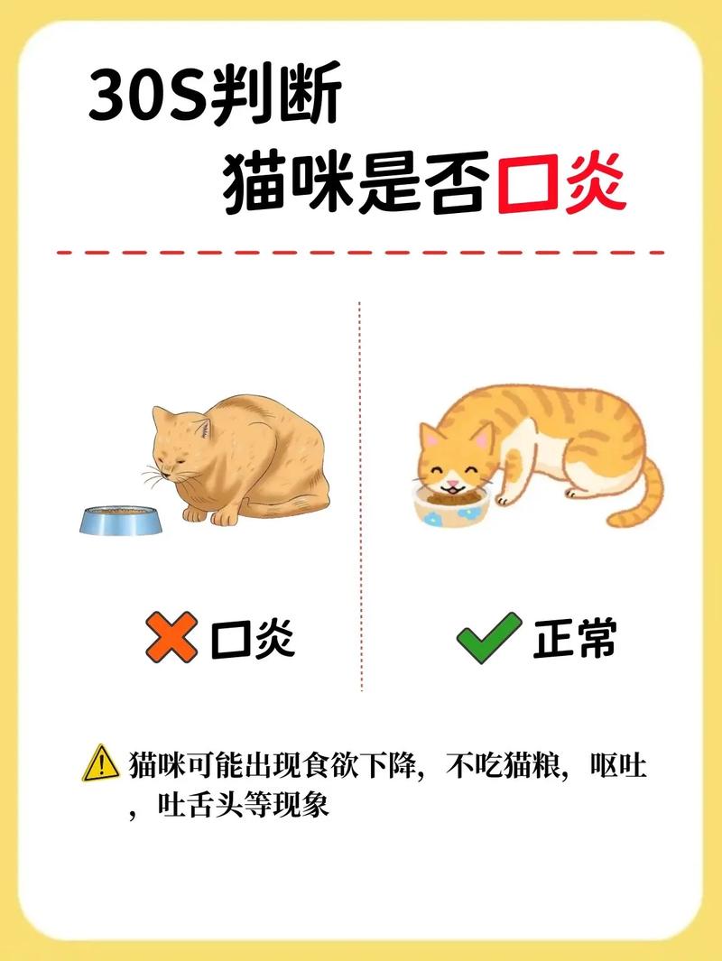 猫咪的口水有细菌吗