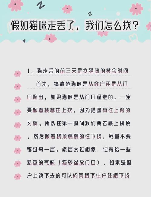 猫咪走丢了可以自己找回来吗?主人该怎么办呢?