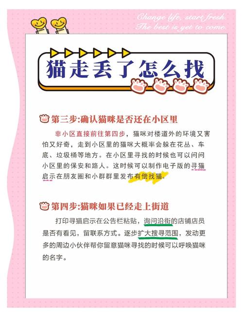 猫咪在陌生的地方丢了怎么办