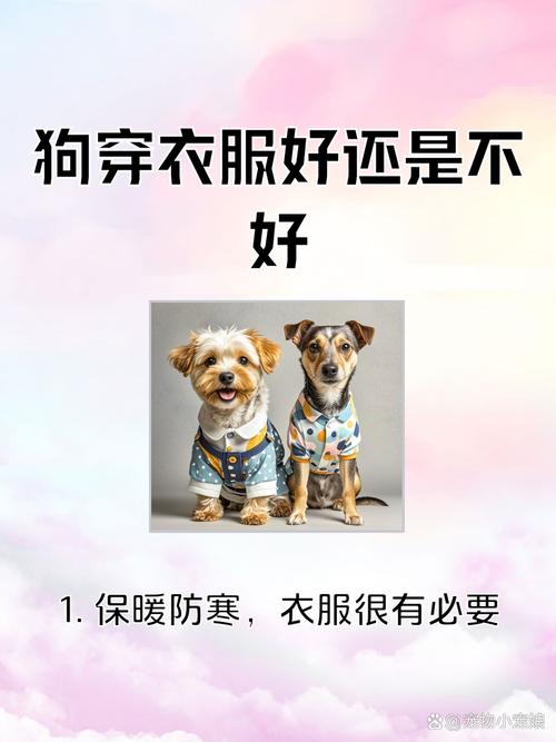 狗狗夏天可以穿衣服吗