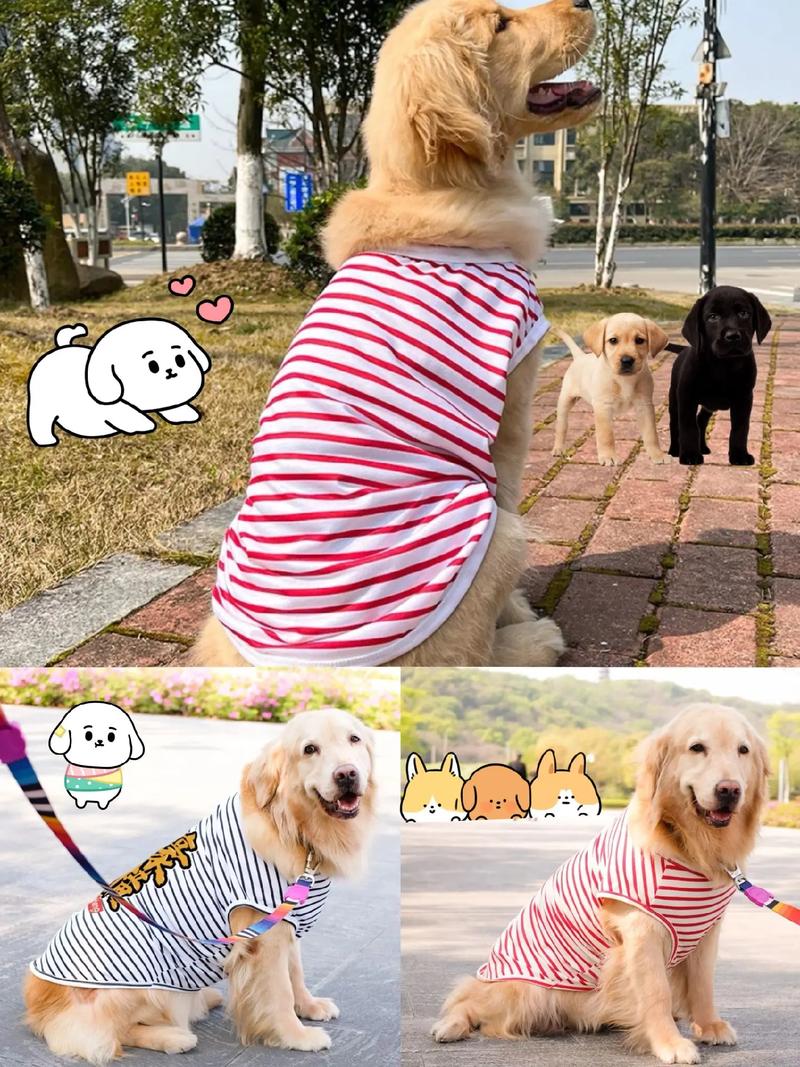 狗狗一穿上衣服就不动了